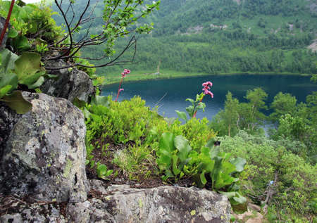 Ivanovo Lakes - a natural park in Khakassia. Russia.Khakassia is an amazing region of Eastern Siberia, of incredible beauty of wild pristine nature.の写真素材