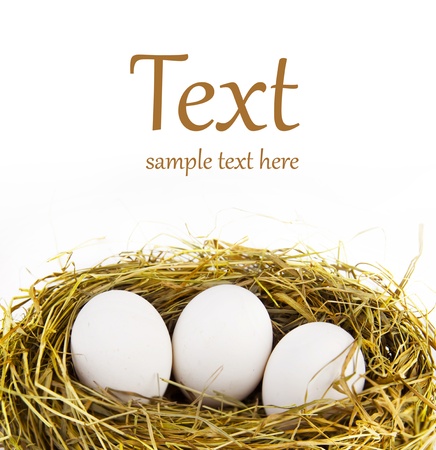 nest with eggs  (With sample text)の写真素材