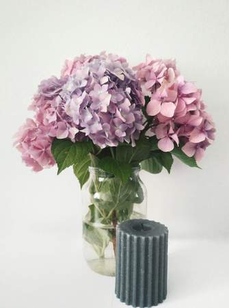 Pink and purple hydrangea with gray candle on white backroundの写真素材