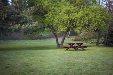 Bench with table under the tree in summer day