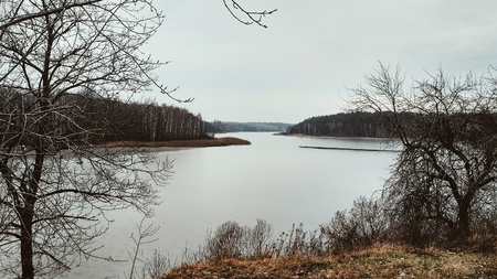View on river in autumn day with tree