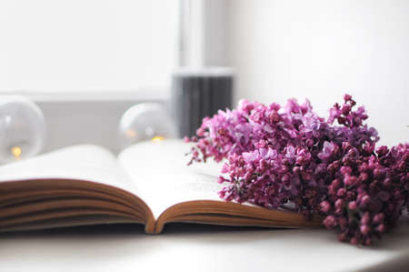 Beautiful composition with opened book and lilac flowers. Romantic wallpaper.の写真素材