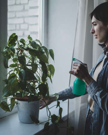 Woman is spraying the water from pulverizer on house plant