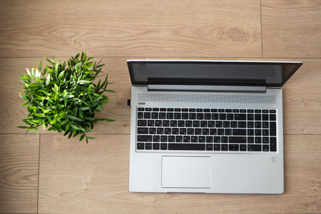 Top view of the opened laptop. A home workplace with plants. Minimalism interior