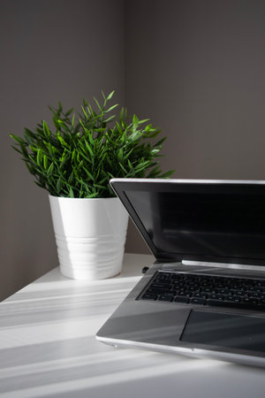 Side view of the opened laptop. A home workplace with plants.
