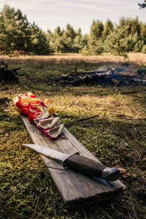 Colorful vegetables are cut with knife near fireplaceの写真素材