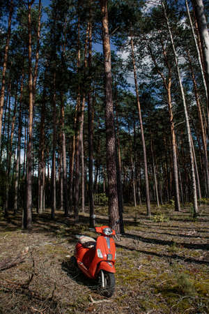 Beautiful abandoned red scooter alone in the middle of nowhere in forestの写真素材