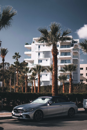 A modern stylish sport car in front of the palm trees in sunny day in Larnaca, Cyprus.
