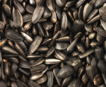 sunflower seeds, texture, background, close-up