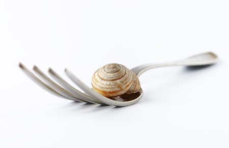 Plug with a snail isolated on a white backgroundの写真素材