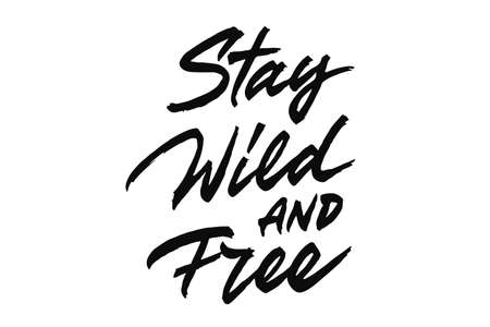 Stay Wild And Free vector letteringのイラスト素材