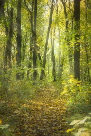 Lovely gentle, autumnの写真素材