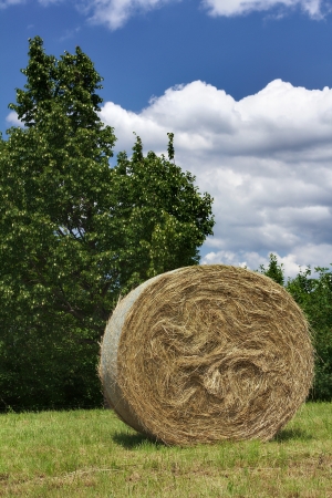 Hay bale in a field with trees and cloudy sky in backgroundの写真素材
