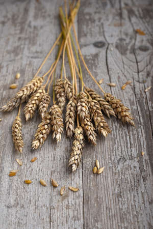Wheats on the wooden tableの写真素材