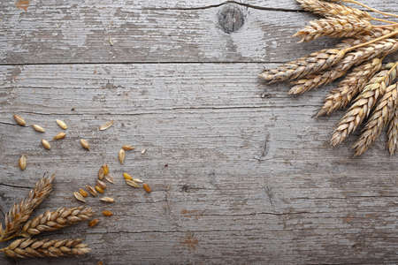 Wheats on the wooden table