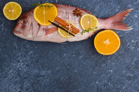 Raw fish with citrus fruits and spicesの写真素材