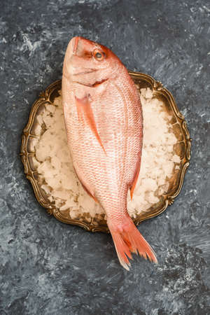 Dorada - fresh fish on ice cubes