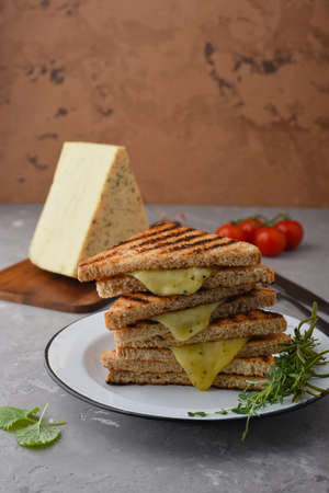 Grilled toasts with cheeseの写真素材