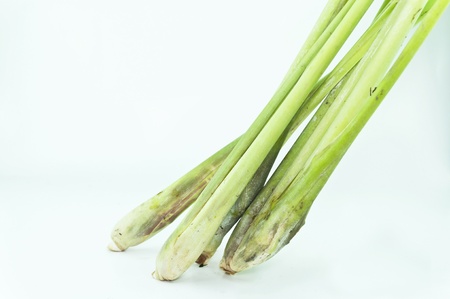Lemon Grass. Fresh Lemon Grass on backgroundの写真素材