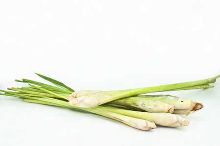 Lemon Grass  Fresh Lemon Grass on backgroundの写真素材