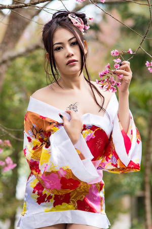 Asian sexy woman wearing traditional Japanese kimono and Wild Himalayan Cherry Or Cherry blossomの写真素材