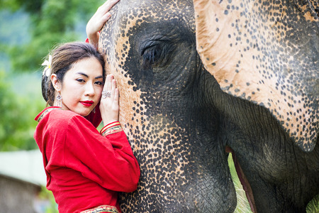 Young pretty woman with elephant in Thailandの写真素材