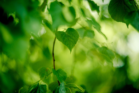 background shimmering defocused soft bokeh