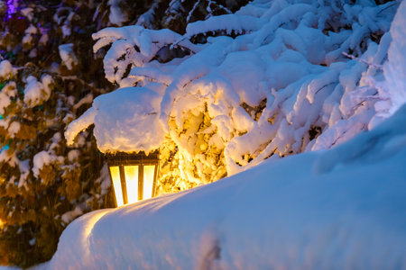 In winter, a yellow lantern shines in the park, between large, snow-covered Christmas trees. There are huge flakes of snow on the branches.の写真素材