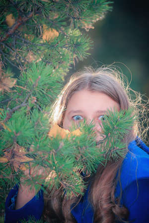 A girl with big eyes looks through a branch of a Christmas tree in the park.