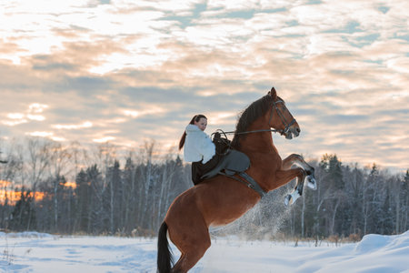 A girl in a white cloak rides a brown horse in winter. Golden hour, setting sun. The horse rears up. Moscow, Russia 22 February 2021のeditorial素材
