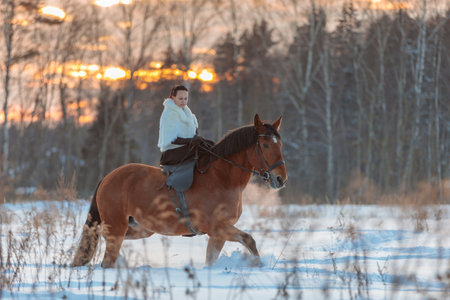 A girl in a white cloak rides a brown horse in winter. Golden hour, setting sun. Moscow, Russia 22 February 2021のeditorial素材