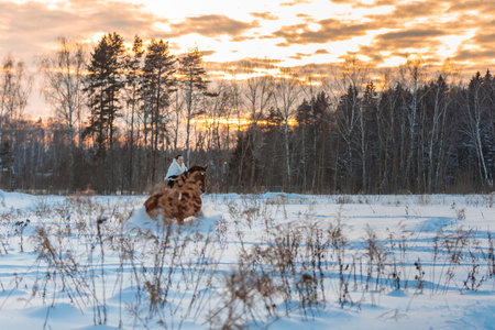 A girl in a white cloak rides a brown horse in winter. Golden hour, setting sun. Moscow, Russia 22 February 2021のeditorial素材