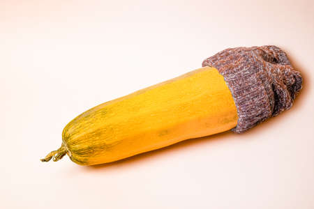 Yellow ripe zucchini in a knitted hat on a pink background. Autumn concept of the onset of cold weather. Close-up.の写真素材