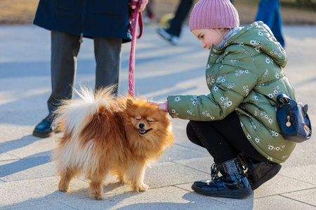 The girl strokes the little dog on a leash in the park. Caresses the dog and rejoices. Russia Zelenograd April 23, 2022のeditorial素材