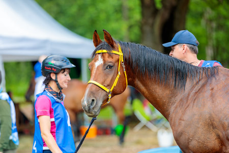 Rider with a horse in competition. Moscow Russia July 1, 2023. High quality photoのeditorial素材