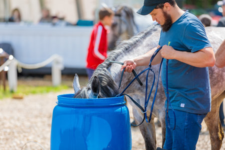 A tired horse drinks water in competitions, horse runs for long distances. Moscow Russia July 1, 2023. High quality photoのeditorial素材