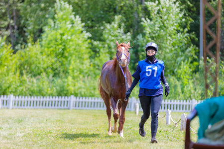 Rider with a horse in competition. Moscow Russia July 1, 2023. High quality photoのeditorial素材