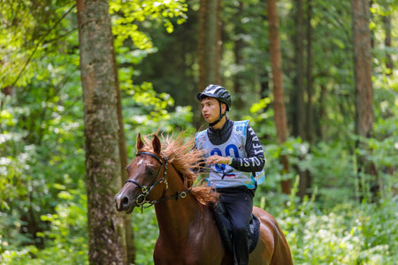 A rider rides a horse in a competition. Moscow Russia July 1, 2023. High quality photoのeditorial素材