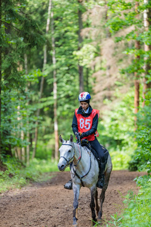 A rider rides a horse in a competition. Moscow Russia July 1, 2023. High quality photoのeditorial素材