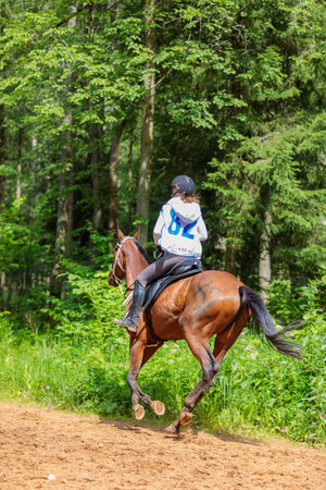 A rider rides a horse in a competition. Moscow Russia July 1, 2023. High quality photoのeditorial素材