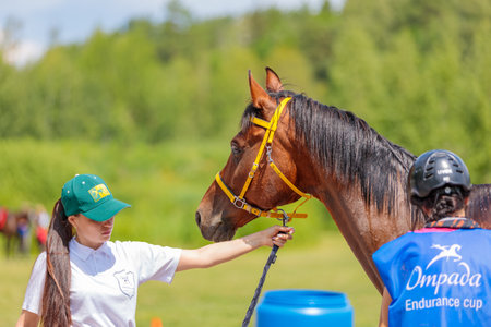Rider with a horse in competition. Moscow Russia July 1, 2023. High quality photoのeditorial素材