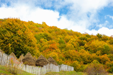 Warm autumn in the mountains covered with bright autumn trees. Colorful landscapeの写真素材