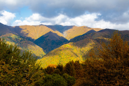 Sunny autumn in the mountains covered with bright colorful trees. Colorful landscape