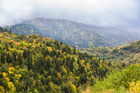 Beautiful autumn view of mountains with bright treesの写真素材