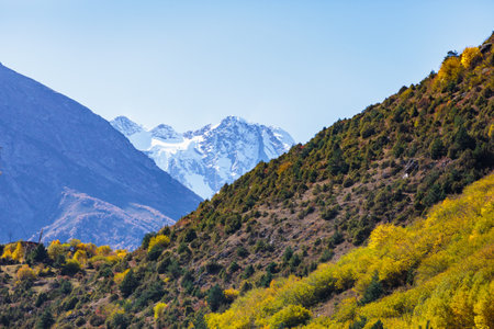 Picturesque autumn trees in the mountains create an amazing and vibrant landscape.の写真素材