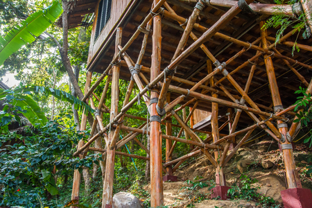 Base of bamboo bungalow in the rainforestの写真素材