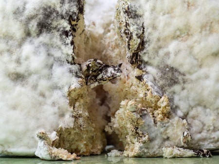Closeup shot of mold and bacterial colonies growing on bread surface and inside breadの写真素材