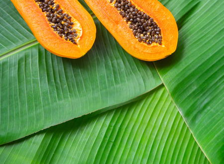 Creative layout made of papaya. Flat lay. Copyspace. Food conceptの写真素材