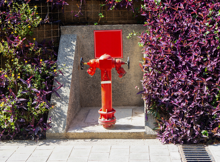Fire hydrant in daytime with burgundy vegetation near