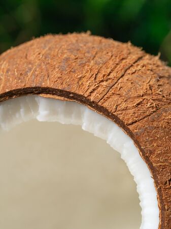 Macro shot of open coconut, coconut texture close upの写真素材